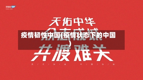 疫情韧性中国(疫情状态下的中国)-第2张图片