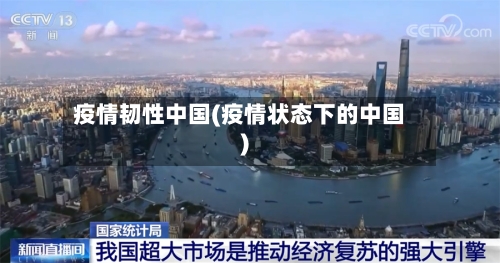 疫情韧性中国(疫情状态下的中国)-第3张图片