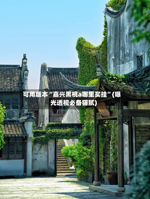 可用版本“嘉兴黑桃a哪里买挂”(曝光透视必备猫腻)-第2张图片