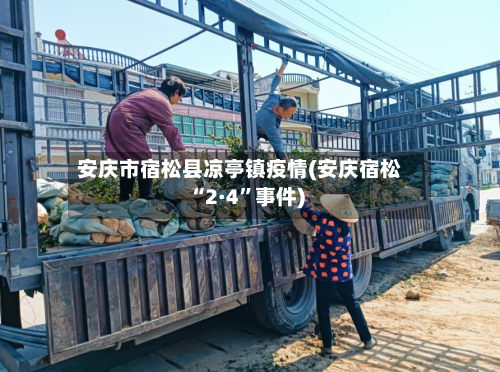 安庆市宿松县凉亭镇疫情(安庆宿松“2·4”事件)-第1张图片