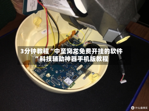 3分钟教程“中至窝龙免费开挂的软件	”科技辅助神器手机版教程-第1张图片