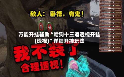万能开挂辅助“哈狗十三道透视开挂(透视)	”详细开挂玩法-第2张图片
