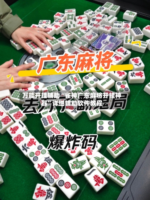 万能开挂辅助“雀神广东麻将开挂神器”详细辅助软件教程-第2张图片