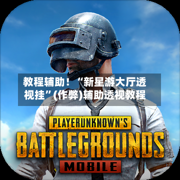 教程辅助！“新星游大厅透视挂	”(作弊)辅助透视教程-第1张图片