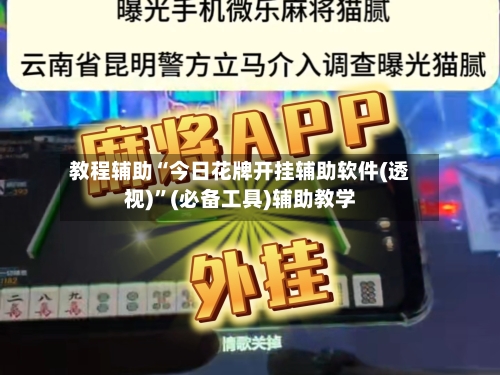 教程辅助“今日花牌开挂辅助软件(透视)	”(必备工具)辅助教学-第2张图片