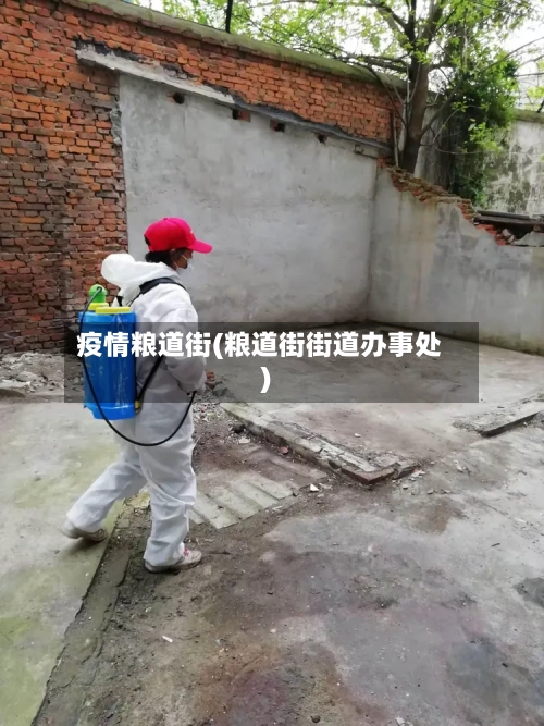 疫情粮道街(粮道街街道办事处)-第3张图片