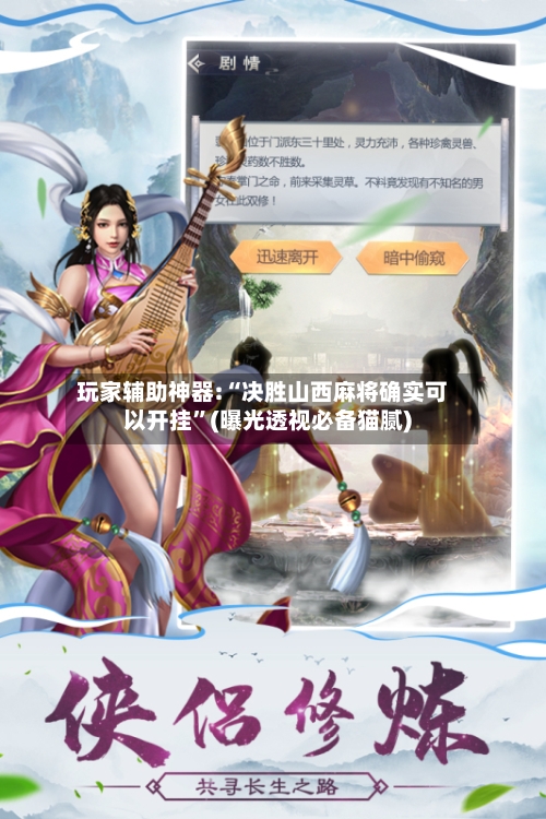 玩家辅助神器:“决胜山西麻将确实可以开挂”(曝光透视必备猫腻)-第2张图片