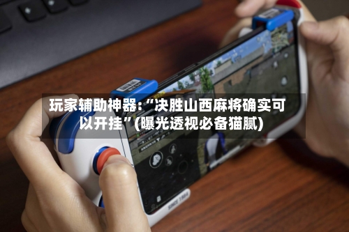 玩家辅助神器:“决胜山西麻将确实可以开挂”(曝光透视必备猫腻)-第3张图片