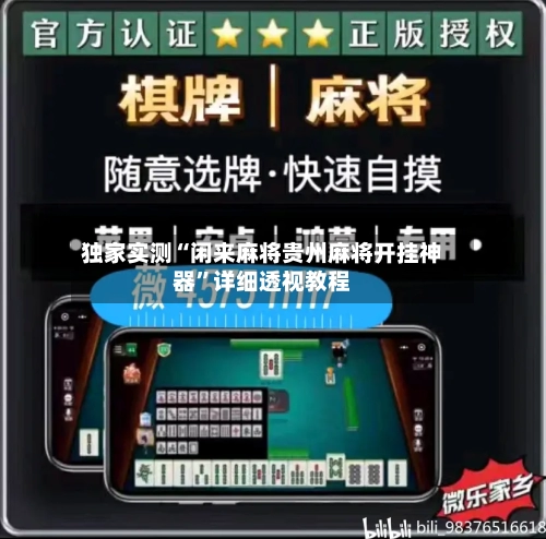 独家实测“闲来麻将贵州麻将开挂神器”详细透视教程-第1张图片