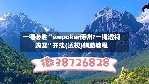 一键必胜“wepoker德州?一键透视购买”开挂(透视)辅助教程-第2张图片