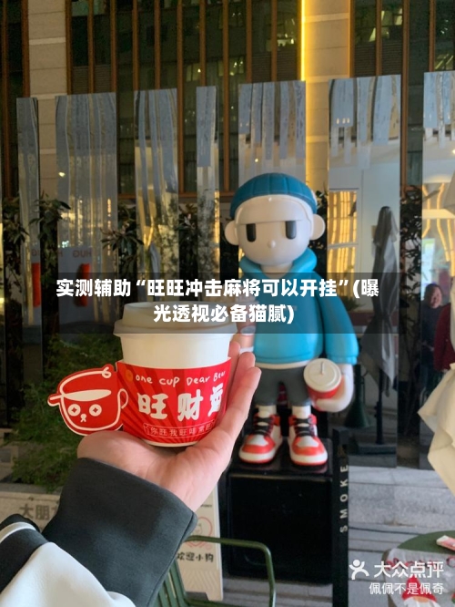 实测辅助“旺旺冲击麻将可以开挂”(曝光透视必备猫腻)-第2张图片