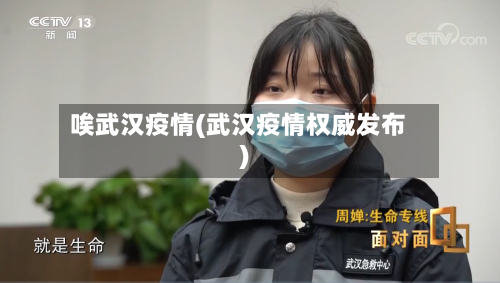 唉武汉疫情(武汉疫情权威发布)-第3张图片