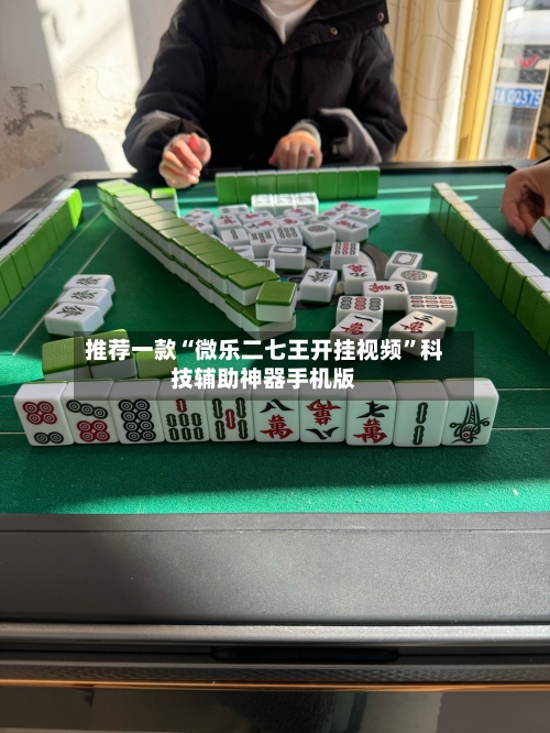 推荐一款“微乐二七王开挂视频”科技辅助神器手机版-第3张图片