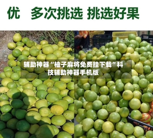 辅助神器“柚子麻将免费挂下载	”科技辅助神器手机版-第1张图片