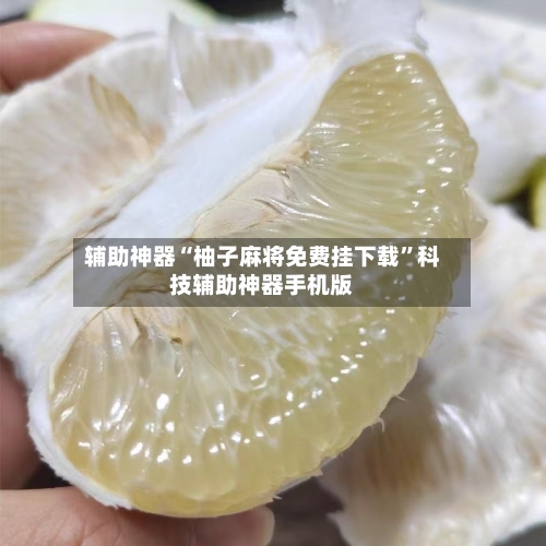 辅助神器“柚子麻将免费挂下载”科技辅助神器手机版-第3张图片