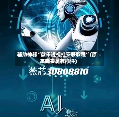 辅助神器“微乐透视挂安装教程”(原来确实是有插件)-第3张图片