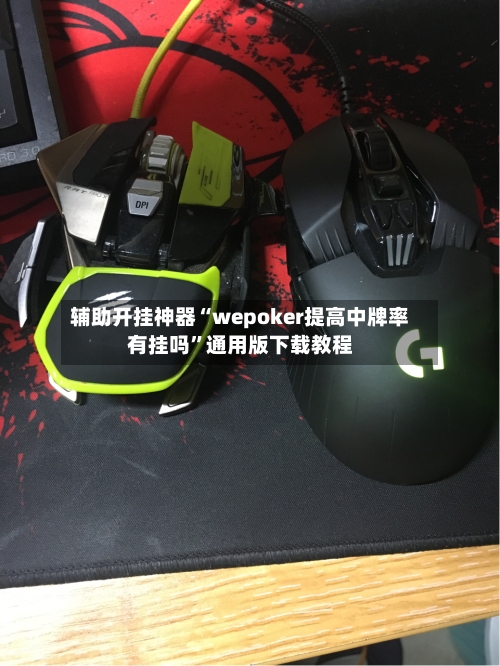 辅助开挂神器“wepoker提高中牌率有挂吗	”通用版下载教程-第1张图片