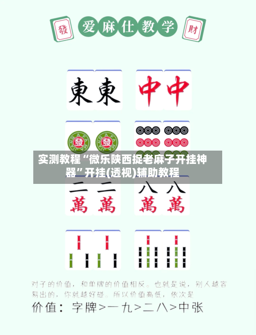 实测教程“微乐陕西捉老麻子开挂神器	”开挂(透视)辅助教程-第2张图片