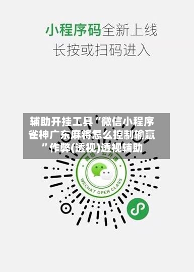 辅助开挂工具“微信小程序雀神广东麻将怎么控制输赢”作弊(透视)透视辅助-第2张图片