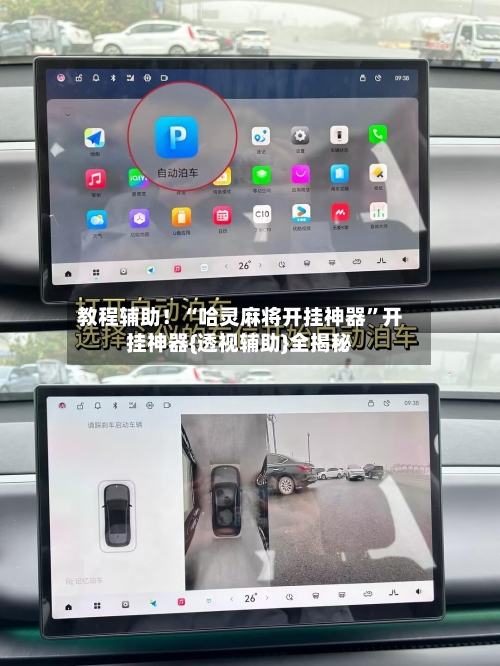 教程辅助！“哈灵麻将开挂神器	”开挂神器{透视辅助}全揭秘-第2张图片