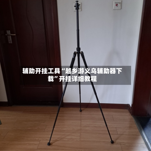 辅助开挂工具“越乡游义乌辅助器下载”开挂详细教程-第2张图片