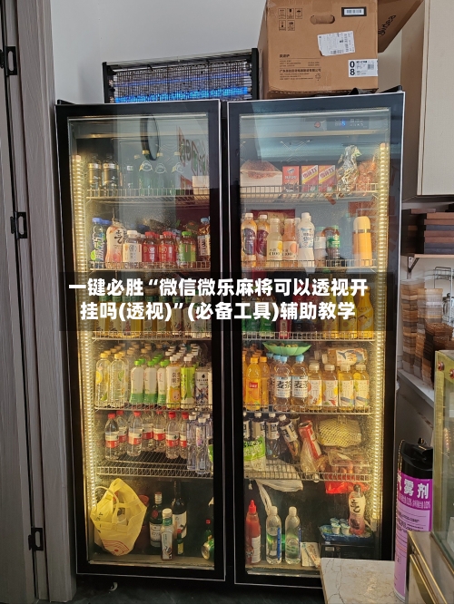 一键必胜“微信微乐麻将可以透视开挂吗(透视)”(必备工具)辅助教学-第3张图片