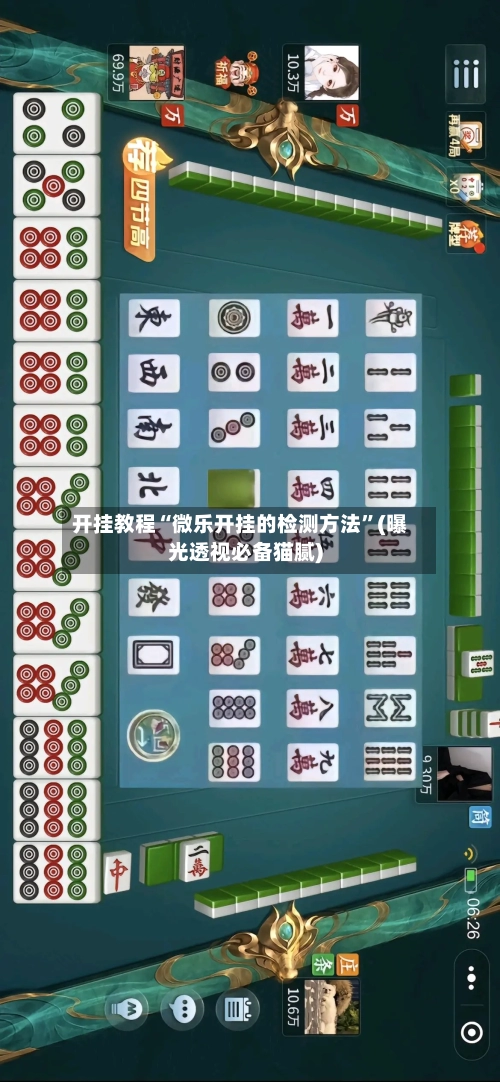 开挂教程“微乐开挂的检测方法”(曝光透视必备猫腻)-第1张图片