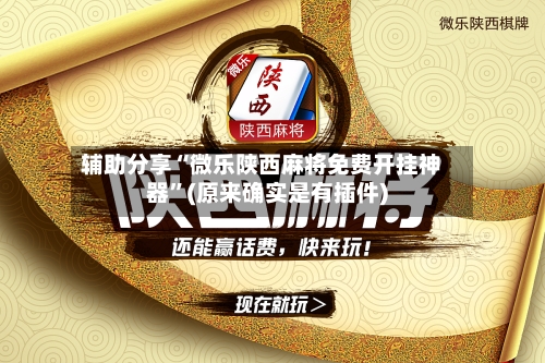 辅助分享“微乐陕西麻将免费开挂神器”(原来确实是有插件)-第3张图片