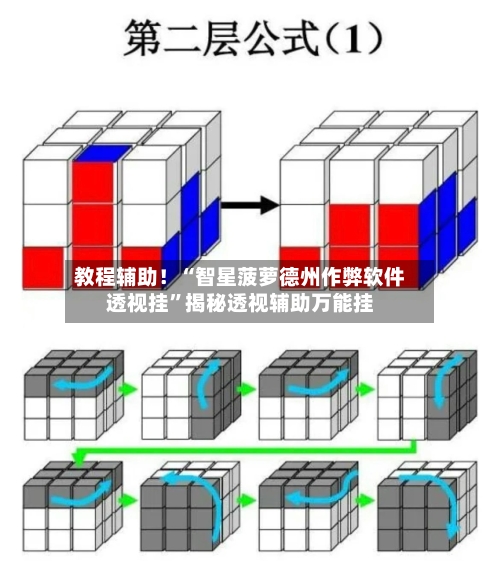 教程辅助！“智星菠萝德州作弊软件透视挂”揭秘透视辅助万能挂-第2张图片