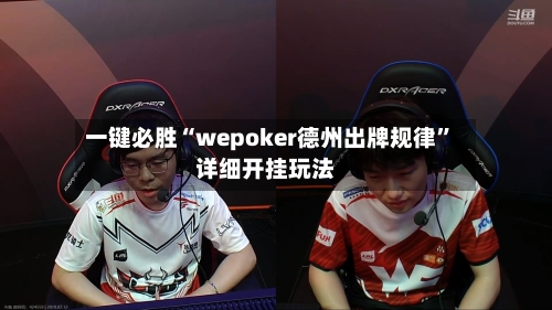 一键必胜“wepoker德州出牌规律	”详细开挂玩法-第3张图片