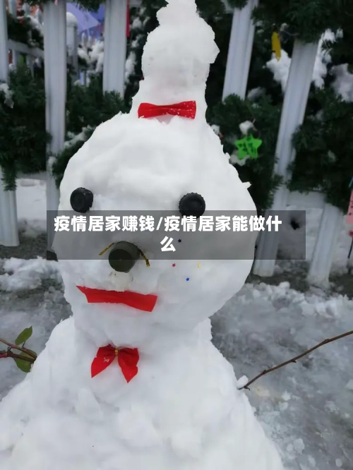 疫情居家赚钱/疫情居家能做什么-第1张图片