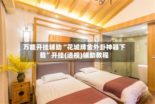 万能开挂辅助“花城牌舍外卦神器下载”开挂(透视)辅助教程-第2张图片