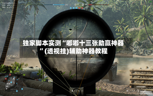 独家脚本实测“嘟嘟十三张助赢神器	”(透视挂)辅助神器教程-第2张图片