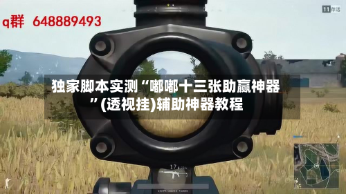 独家脚本实测“嘟嘟十三张助赢神器	”(透视挂)辅助神器教程-第3张图片
