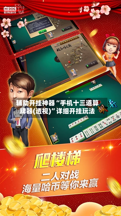 辅助开挂神器“手机十三道算牌器(透视)	”详细开挂玩法-第2张图片