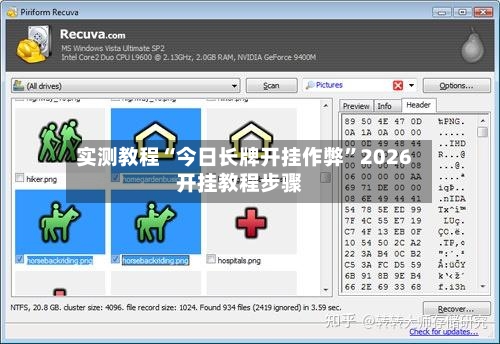 实测教程“今日长牌开挂作弊”2026开挂教程步骤-第2张图片