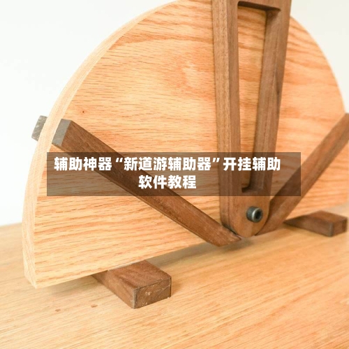 辅助神器“新道游辅助器	”开挂辅助软件教程-第1张图片