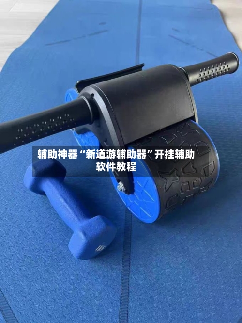 辅助神器“新道游辅助器”开挂辅助软件教程-第2张图片