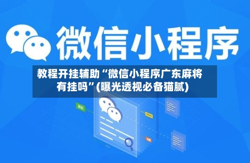 教程开挂辅助“微信小程序广东麻将有挂吗	”(曝光透视必备猫腻)-第3张图片