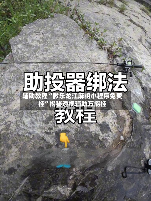 辅助教程“微乐龙江麻将小程序免费挂”揭秘透视辅助万能挂-第2张图片