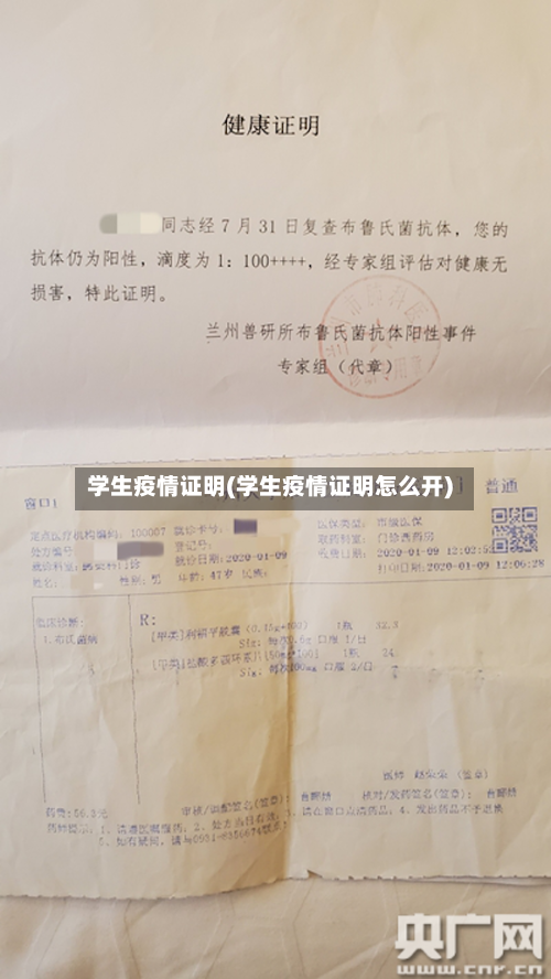 学生疫情证明(学生疫情证明怎么开)-第2张图片