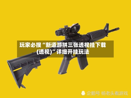 玩家必搜“新道游拼三张透视挂下载(透视)	”详细开挂玩法-第2张图片