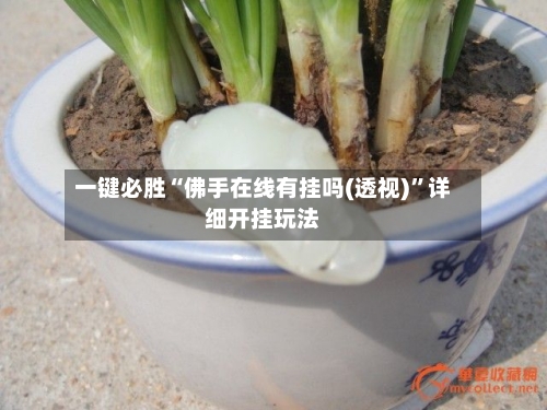 一键必胜“佛手在线有挂吗(透视)”详细开挂玩法-第1张图片