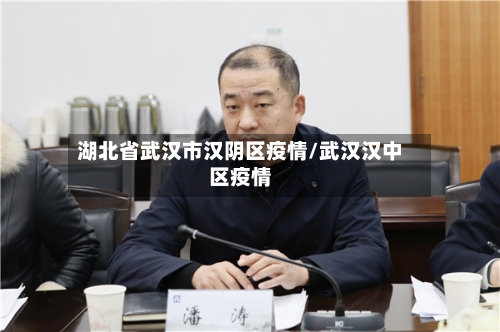 湖北省武汉市汉阴区疫情/武汉汉中区疫情-第1张图片