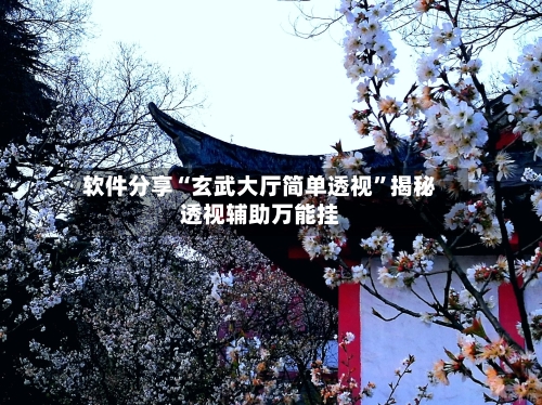 软件分享“玄武大厅简单透视”揭秘透视辅助万能挂-第3张图片