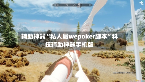 辅助神器“私人局wepoker脚本”科技辅助神器手机版-第1张图片