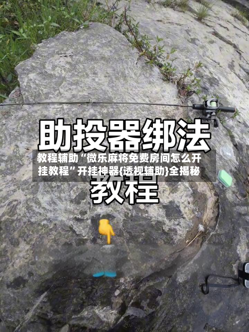 教程辅助“微乐麻将免费房间怎么开挂教程”开挂神器{透视辅助}全揭秘-第1张图片