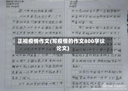 正视疫情作文(写疫情的作文800字议论文)-第2张图片