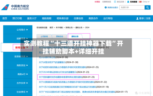 实测教程“十三道开挂神器下载	”开挂辅助脚本+详细开挂-第1张图片