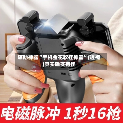 辅助神器“手机金花软挂神器”(透视)其实确实有挂-第1张图片
